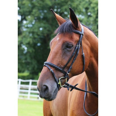 Gallop Leather Padded Bridle + Rubber Reins