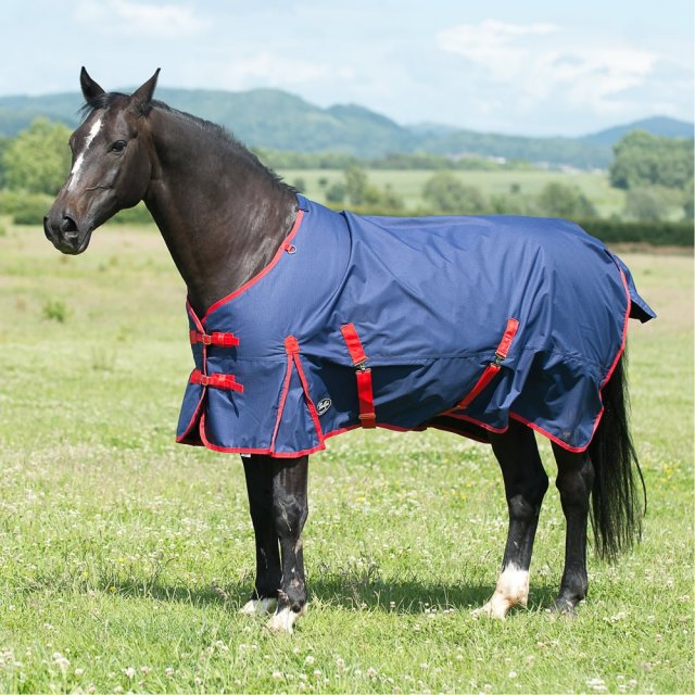 Gallop Tojan 200G Turnout Rug Standard Neck