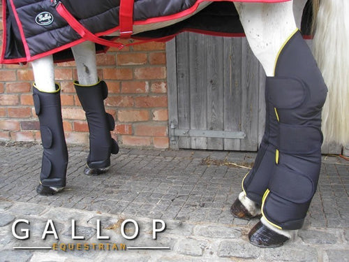 Gallop Travel Boots