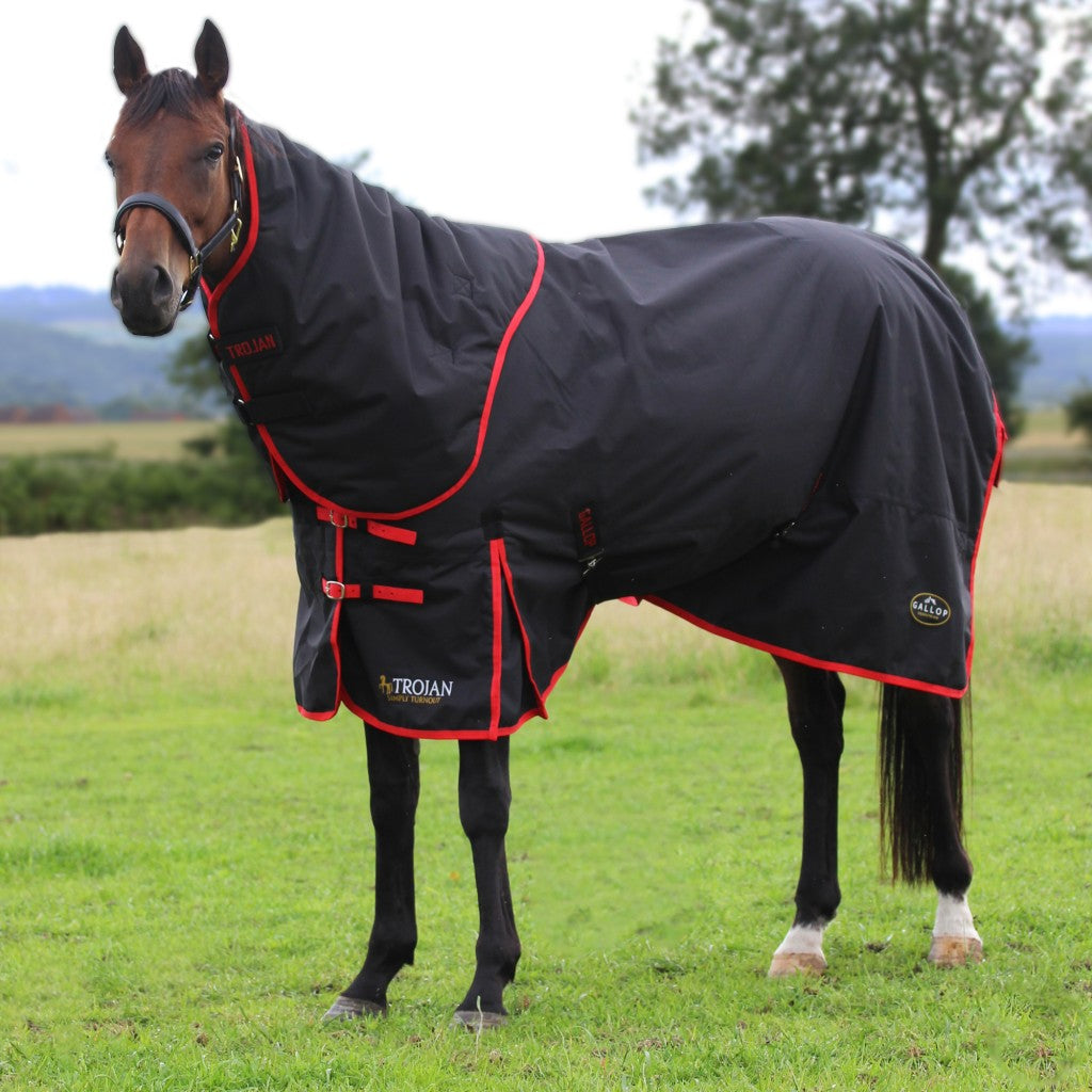 Gallop Trojan 200g DualRug Turnout