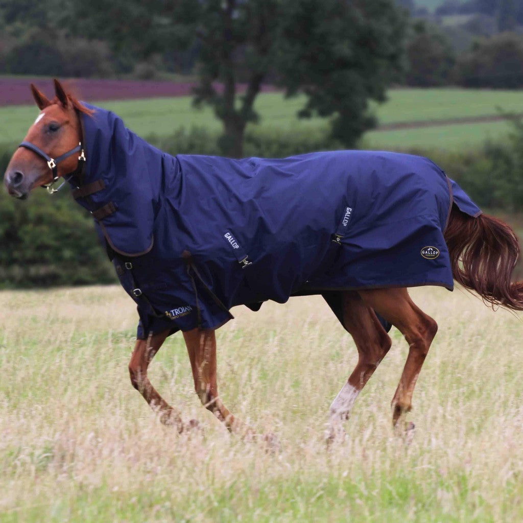 Gallop Trojan 450 Combo Turnout Rug