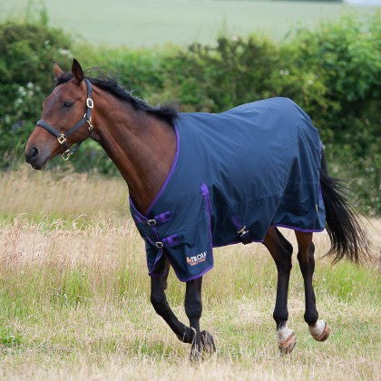 Gallop Trojan Lite-Weight Turnout Rug