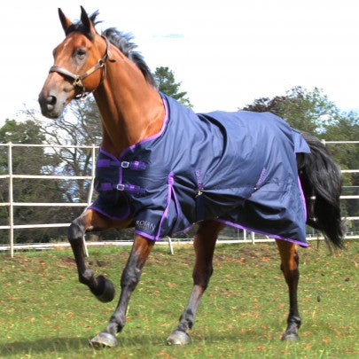 Gallop Trojan Lite-Weight Turnout Rug