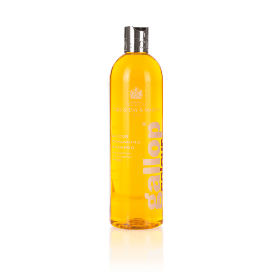 Gallop® Colour – Chestnut & Palomino