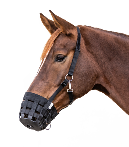 Grazing Muzzle