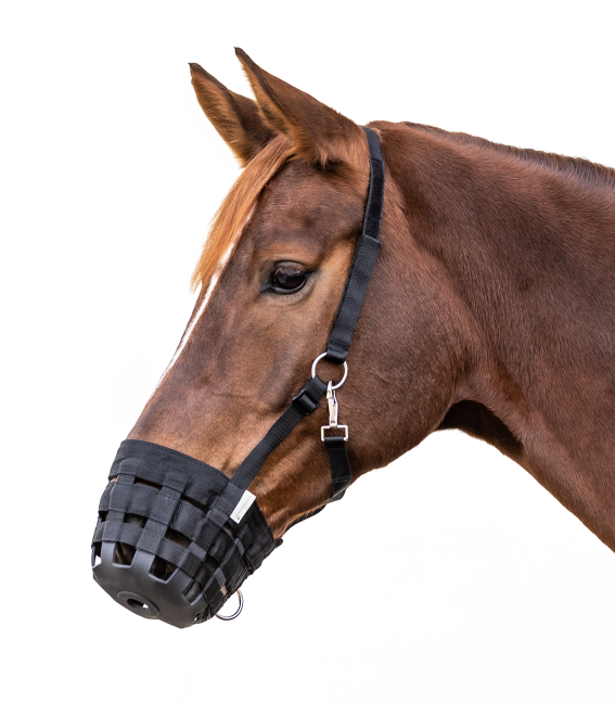 Grazing Muzzle