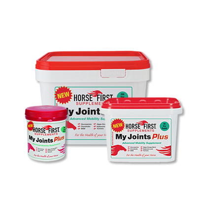 Horse First My Joints Plus