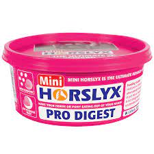 Horselyx Mini