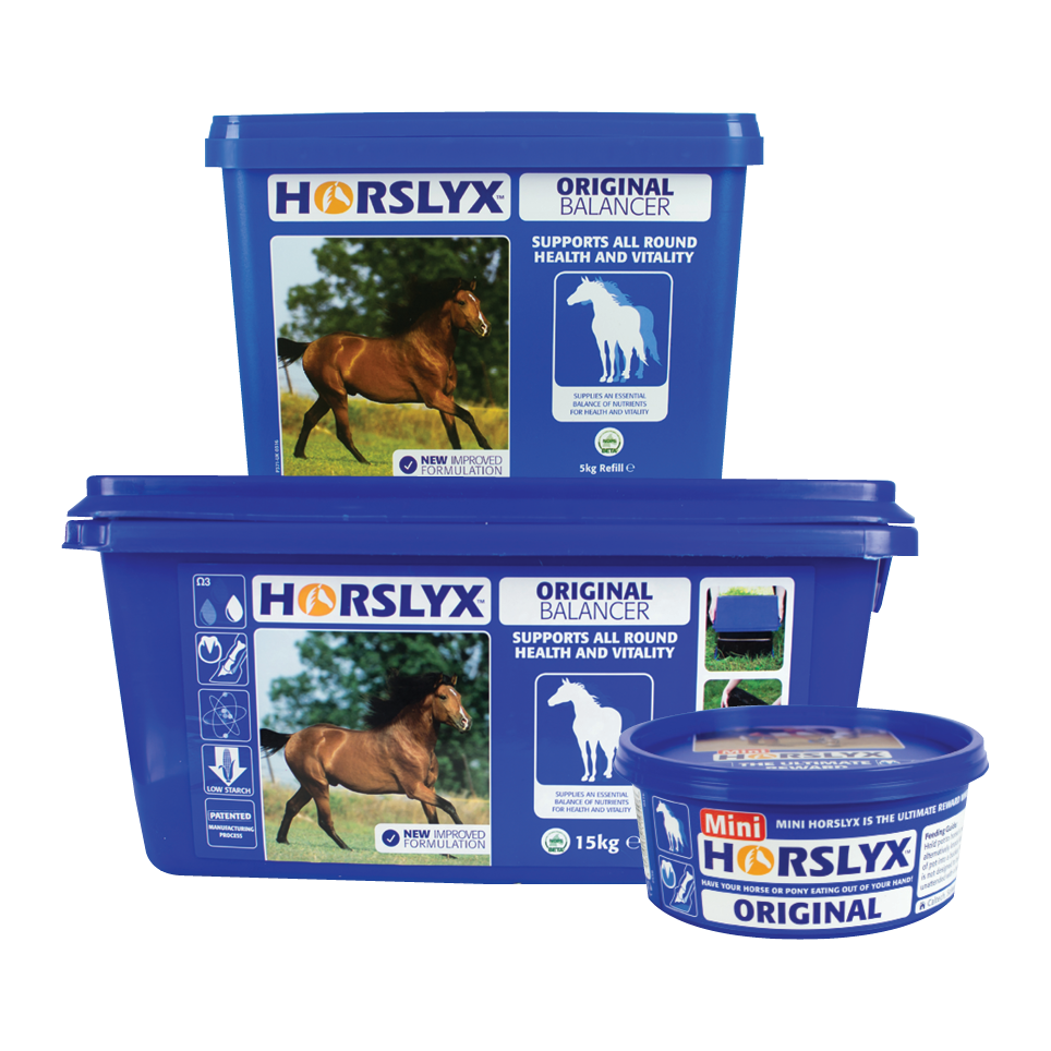 Horslyx Balancer