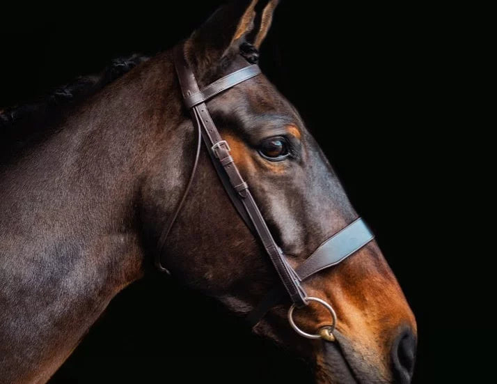 HUNT BRIDLE