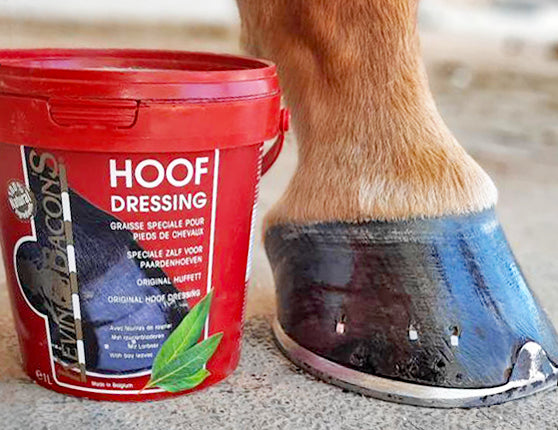 Kevin Bacon Orignal Hoof Dressing