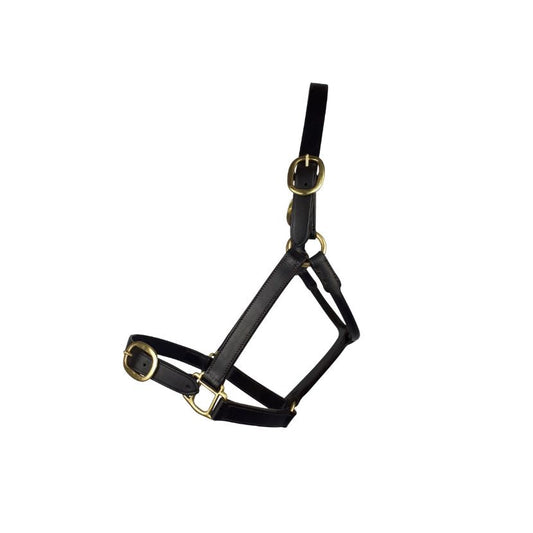 Leather Foal Headcollar