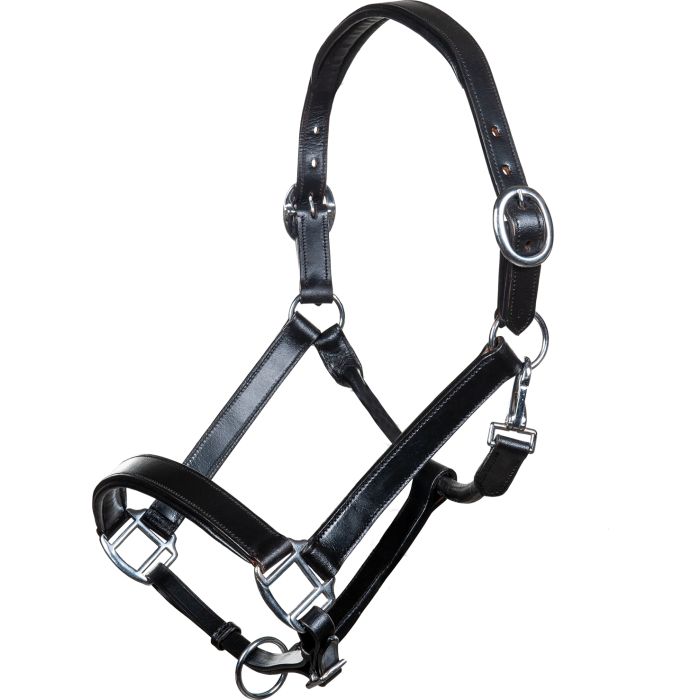 Leather head collar -Economic-