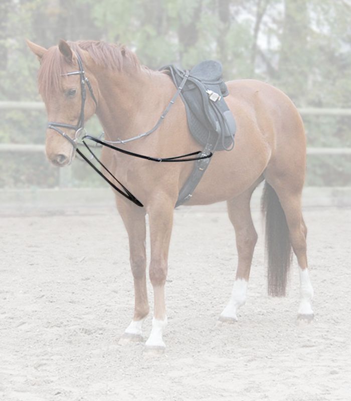 Lunge-Draw-Reins X-Line Leather