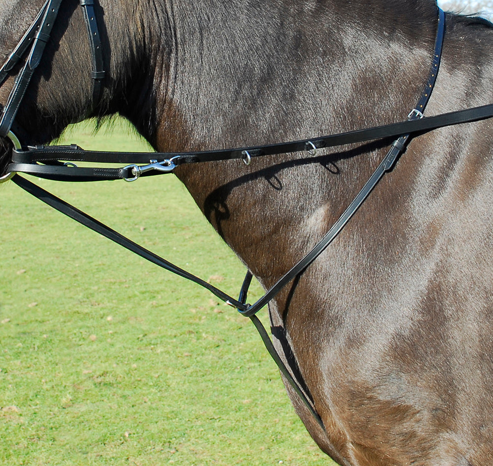 Equestrian Leather Market Harborough With Reins