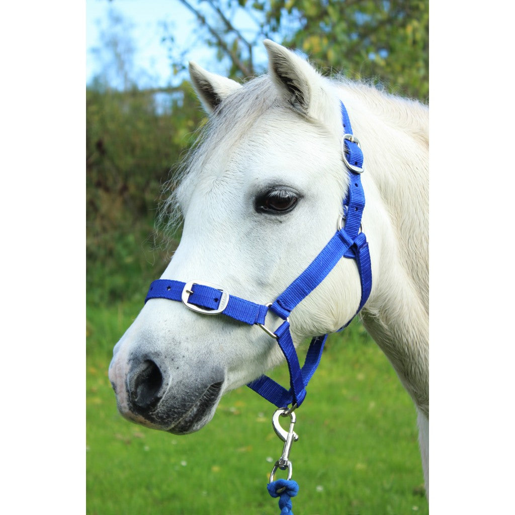 Nylon Headcollar & Lead rope set