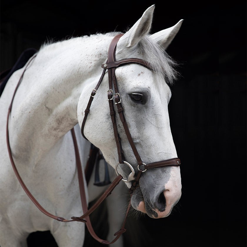 Antares Origin anatomic drop noseband bridle