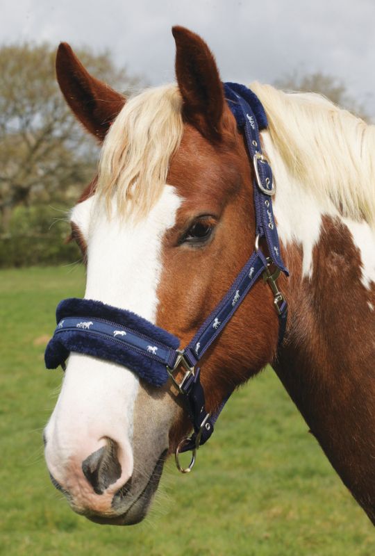 Padded Logo Headcollar