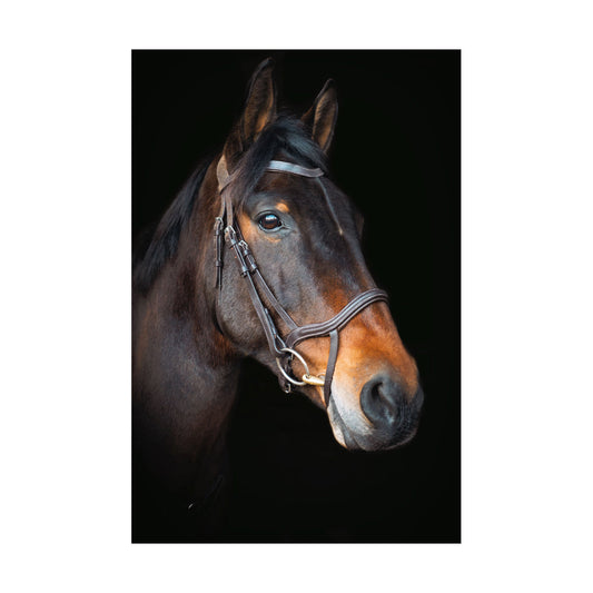 Performance Anatomic Bridle With Flexi Bio Reins