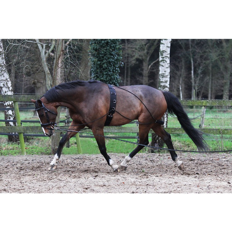 PESSOA LUNGING AID