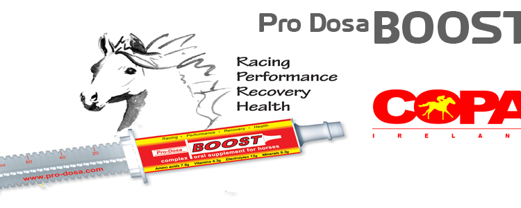 Pro Dosa Boost