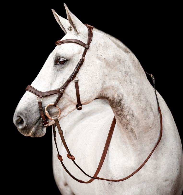 Micklem Competition Bridle