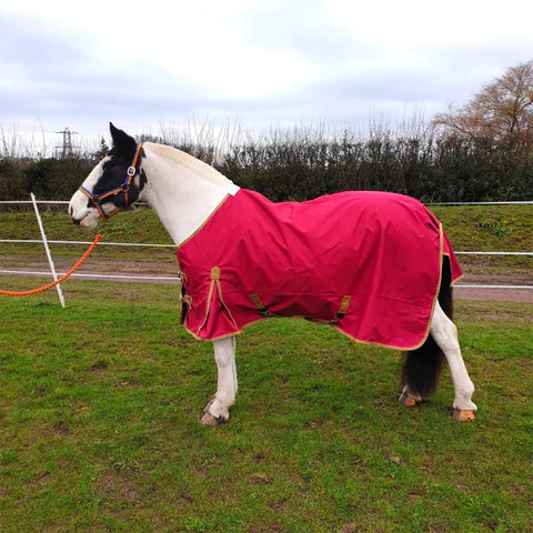 Sheldon Regular Neck No Fill Turnout Rug
