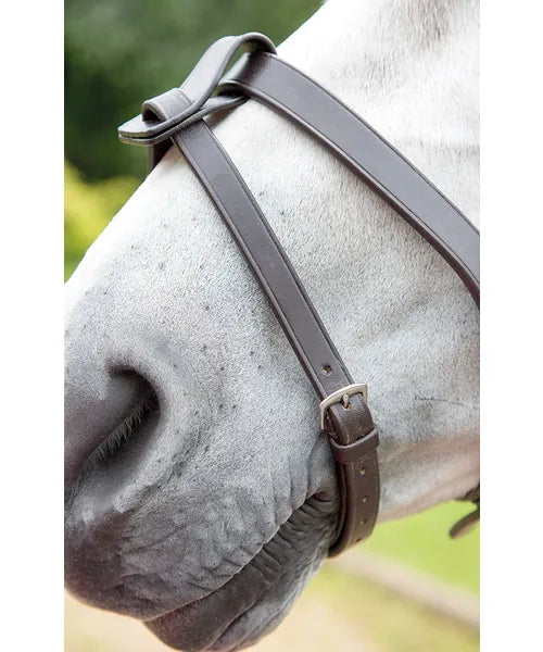 Shires Flash Strap