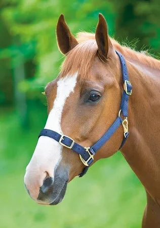 Shires Adjustable Nylon Headcollar