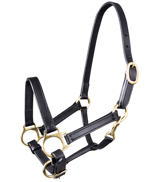 Star Foal Leather Head Collar