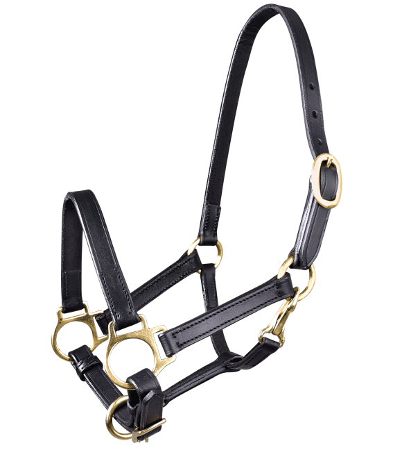 Star Foal Leather Head Collar