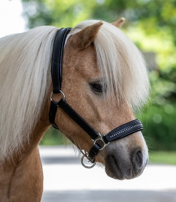 STAR LEATHER HALTER DIAMOND