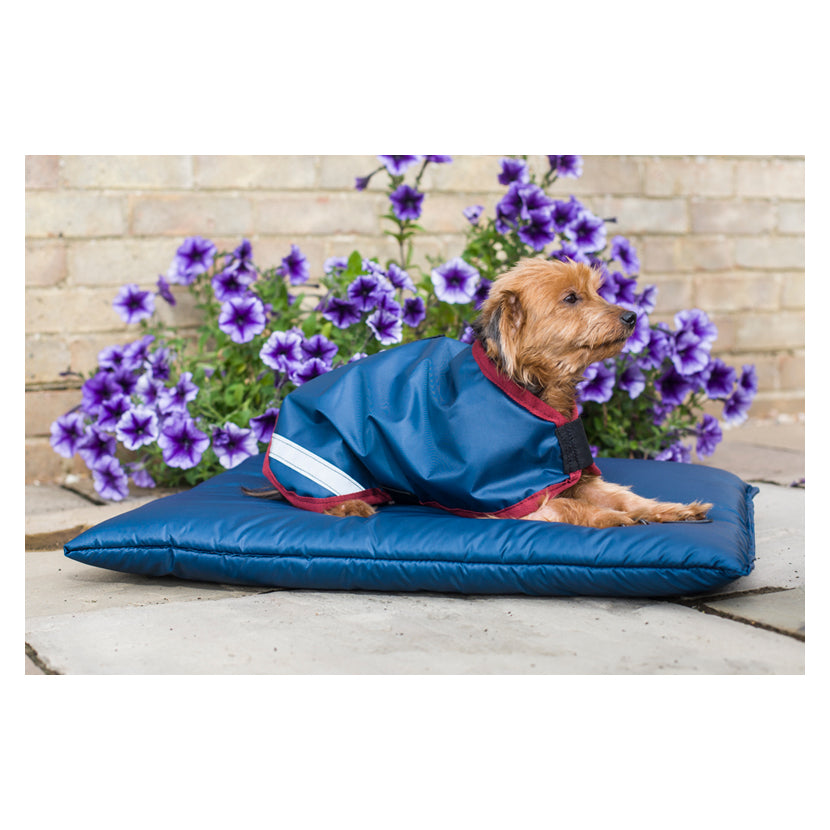 Storm Waterproof Dog Bed