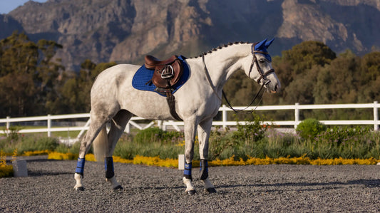 LeMieux Suede Close Contact Square - Benetton Blue