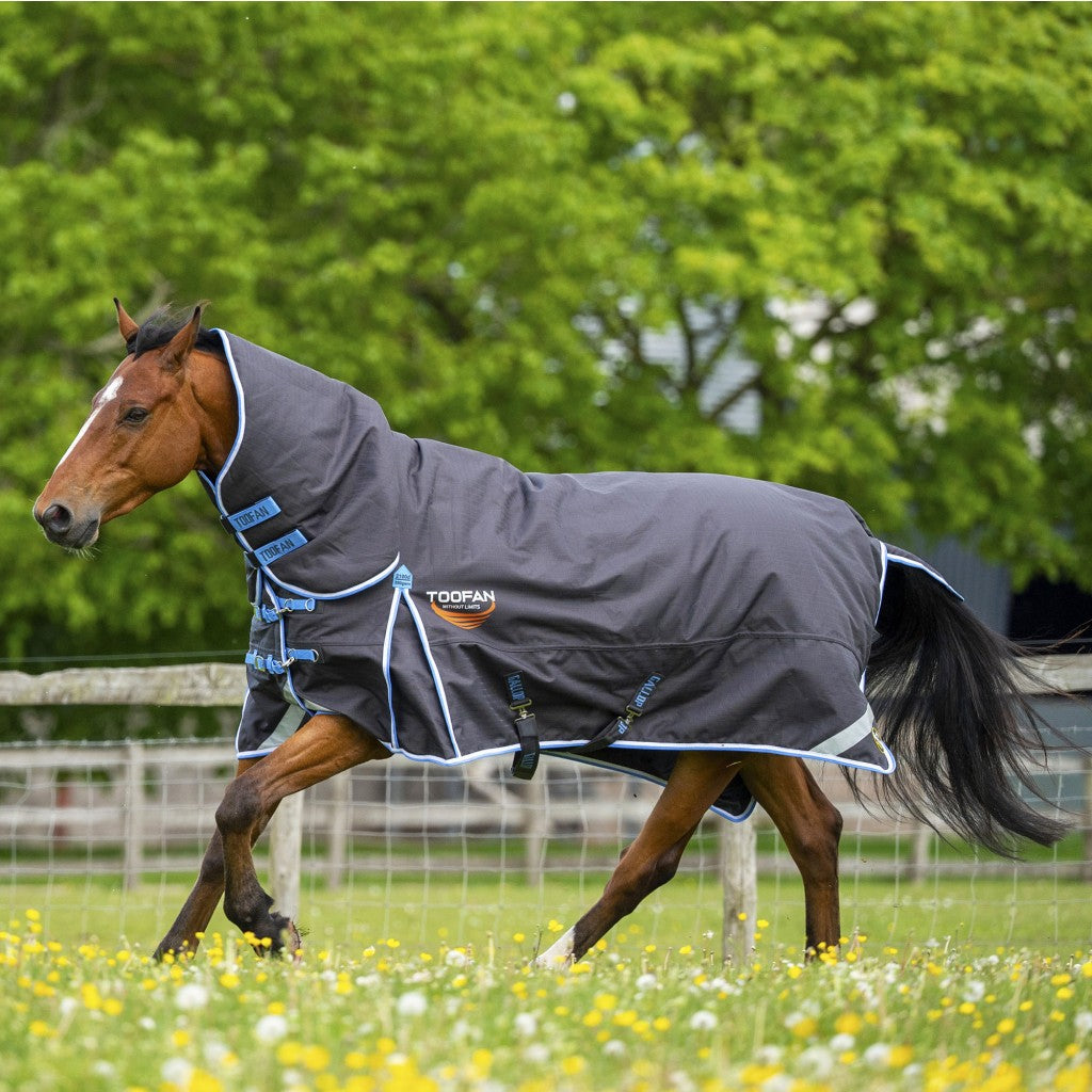 TROJAN 350 Combo Turnout Rug