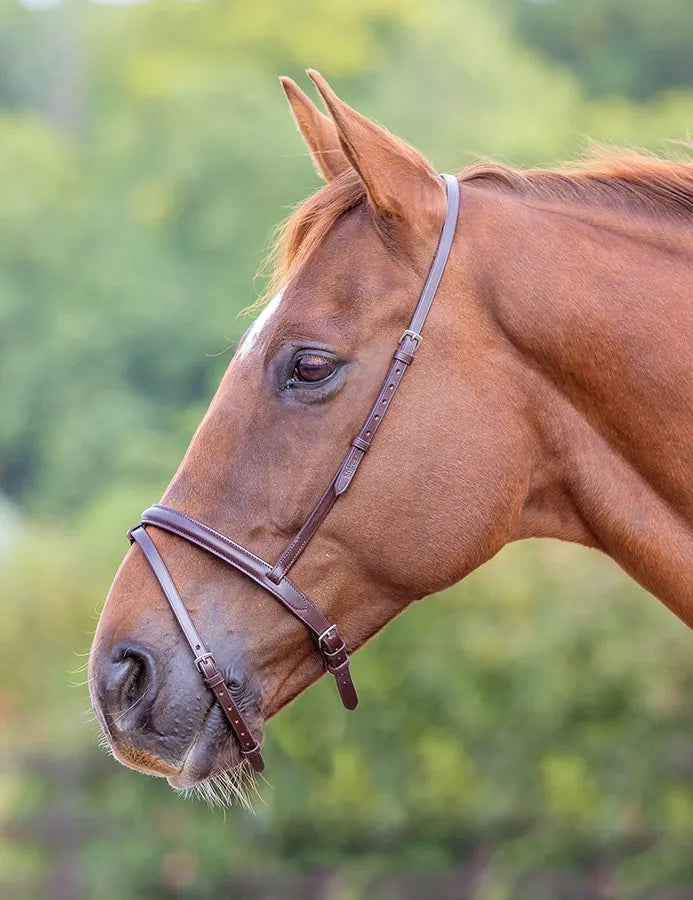 Velociti GARA Flash Noseband