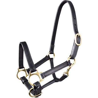 Waldhausen STAR Foal Leather Halter - Black