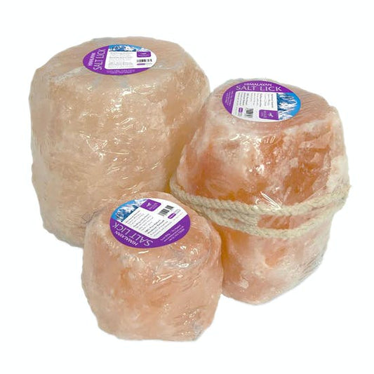 Wilson Himalayan Salt Lick