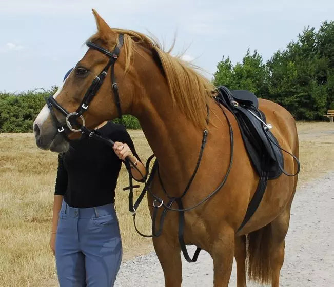 Windsor Leather Running Martingale